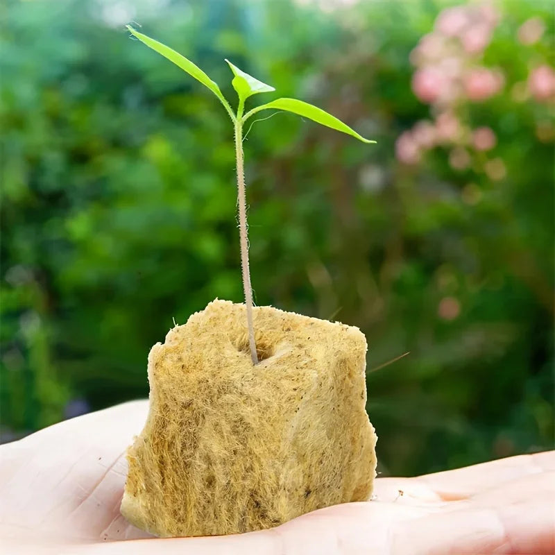 50/300PCS Planting Sponge Stone Wool Starter Plugs Hydroponic Grow Media Cubes Home Greenhouse Garden Supplies Seedling Block