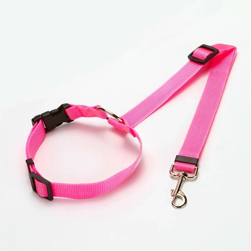 Solid Two-In-One Pet Car Seat Belt Lead Leash Backseat Safety Belt Adjustable Harness for Kitten Dogs Collar Pet Accessories